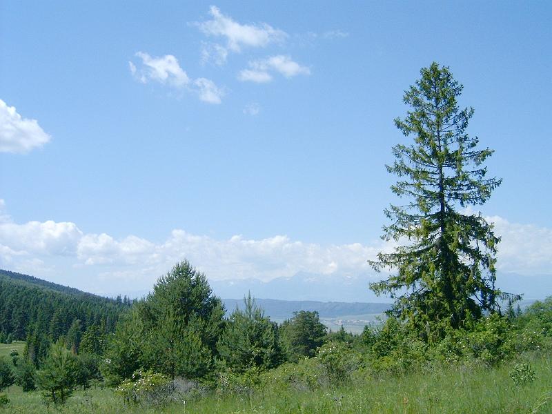 20120616 042.jpg